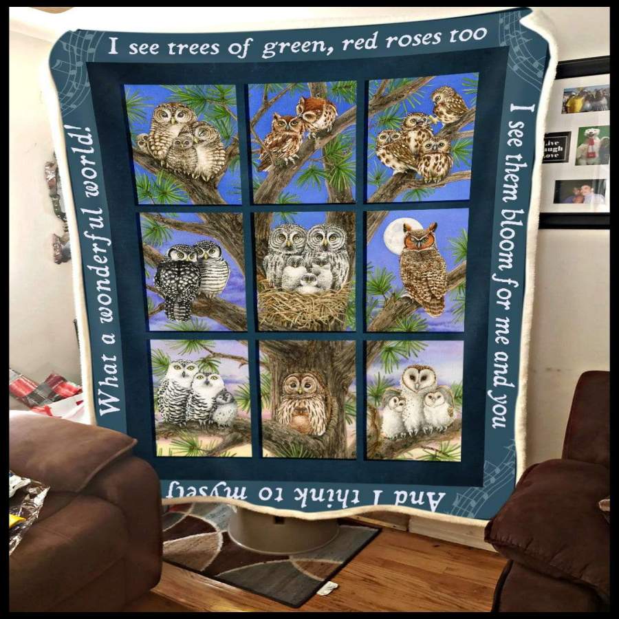 Blanket Gift For Owl Lovers  What A Wonderful Works