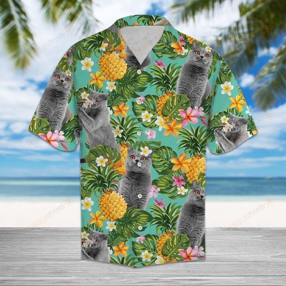 Tropical Pineapple British Shorthair Aloha Hawaiian Shirt Colorful Short Sleeve Summer Beach Casual Shirt For Men And Women