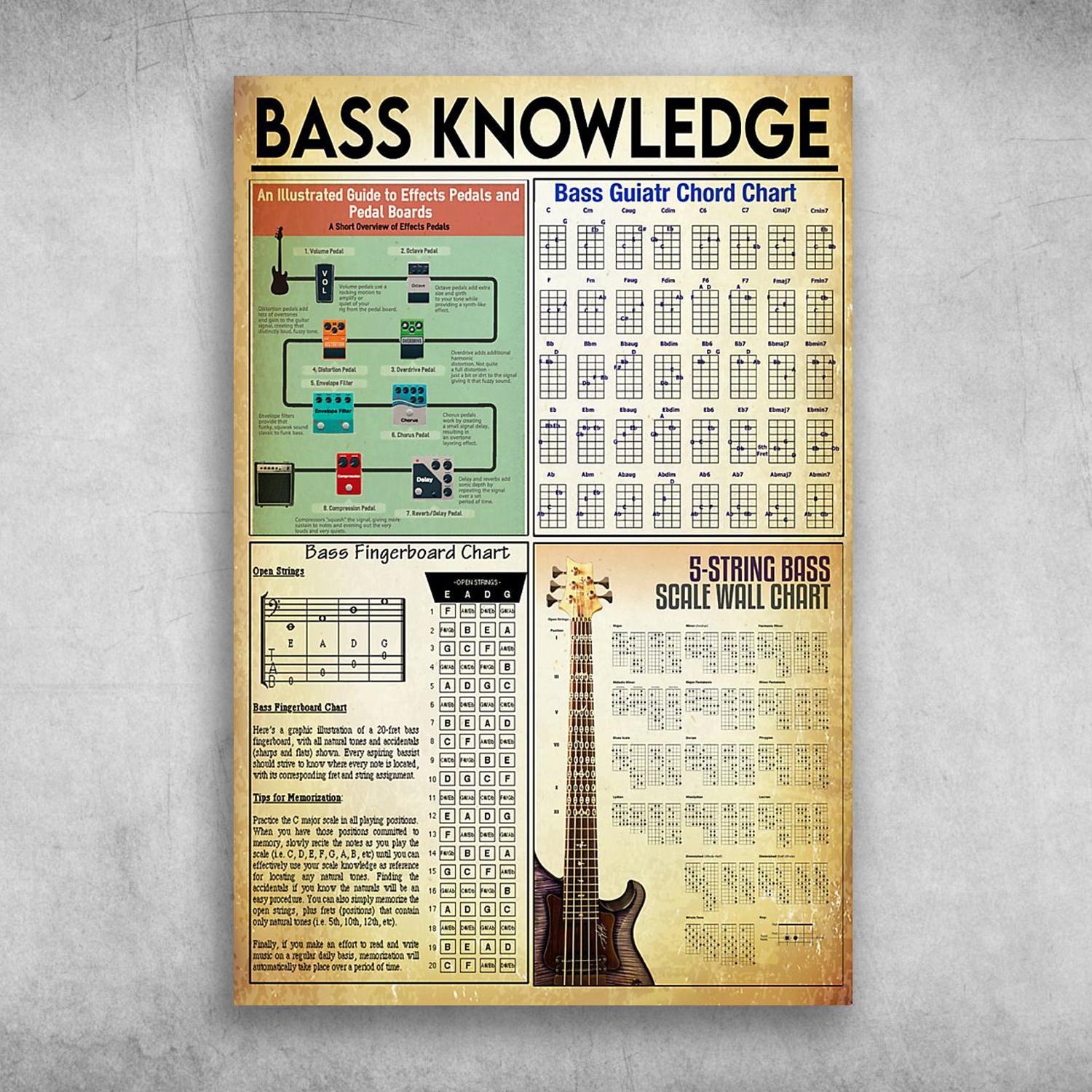 Bass Knowledge Bass Guitar Chord Chart Vintage Poster Print Wall Art Canvas Wall Decor