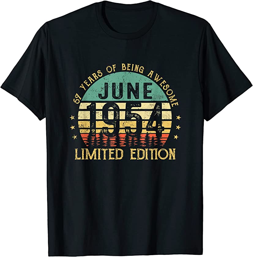 67th Birthday Gift 67 Years Old Retro Vintage June 1954 T-Shirt