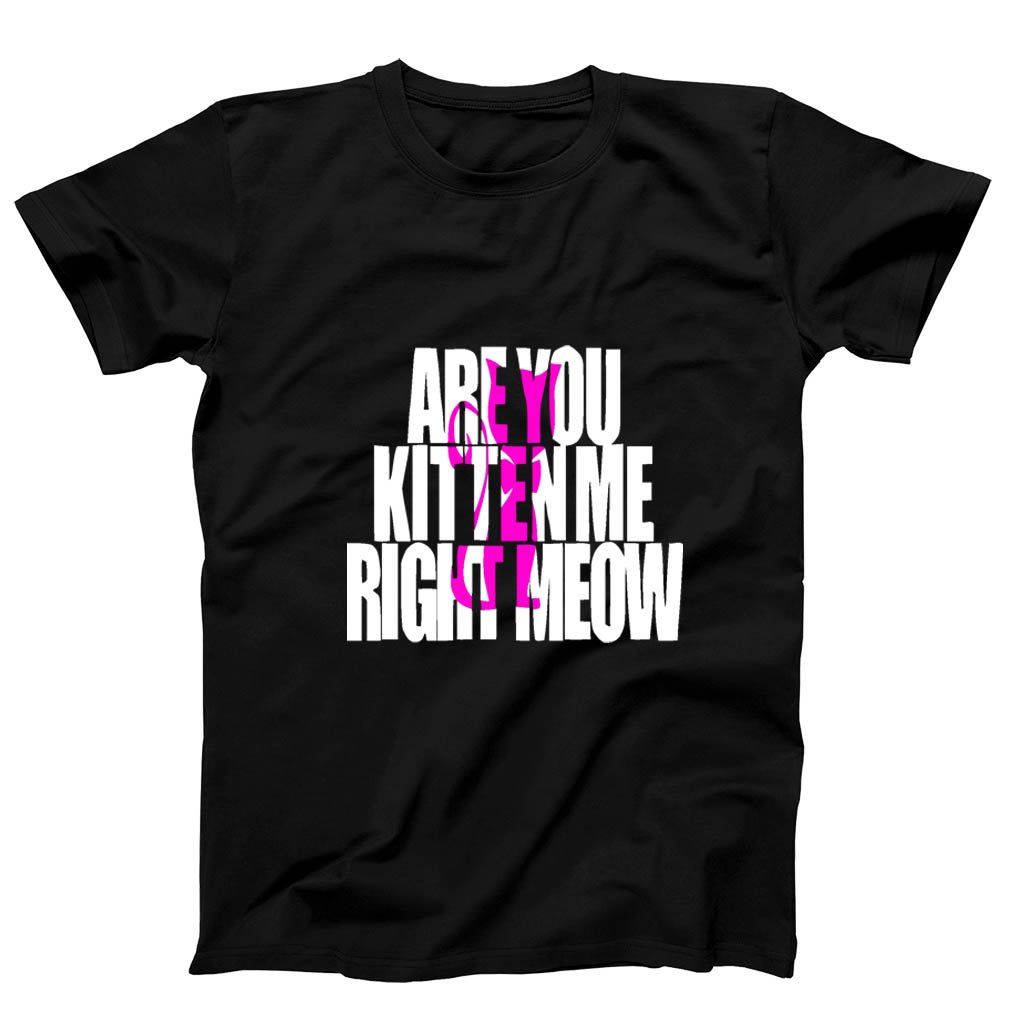 Are You Kitten Me Right Meow One Men’s T-Shirt Tee