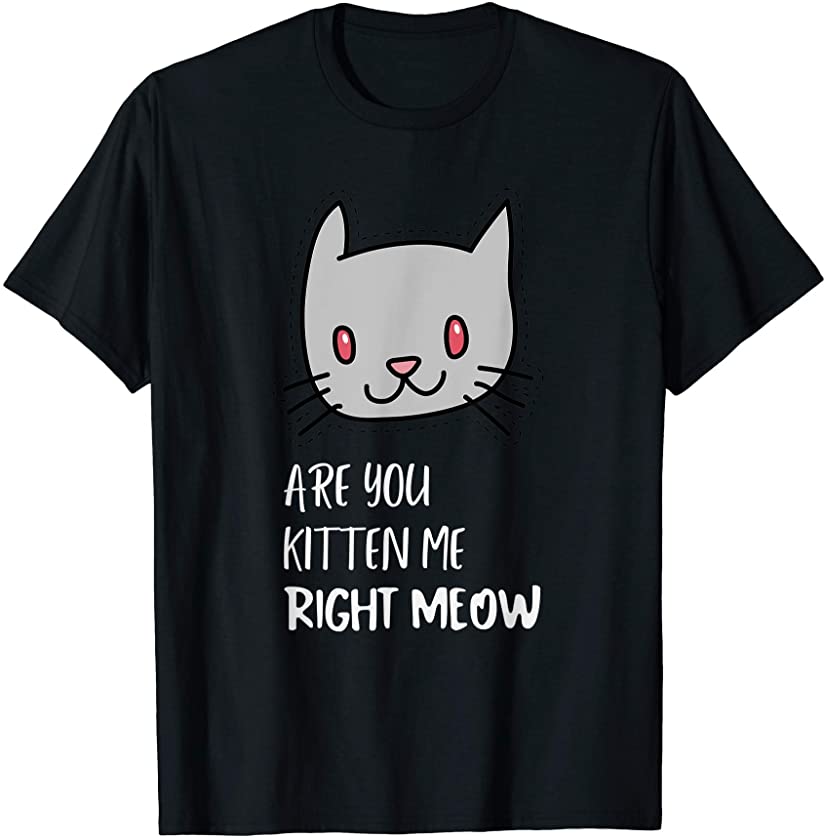 Are You Kitten Me Right Meow, Funny Cat Lovers T-Shirt