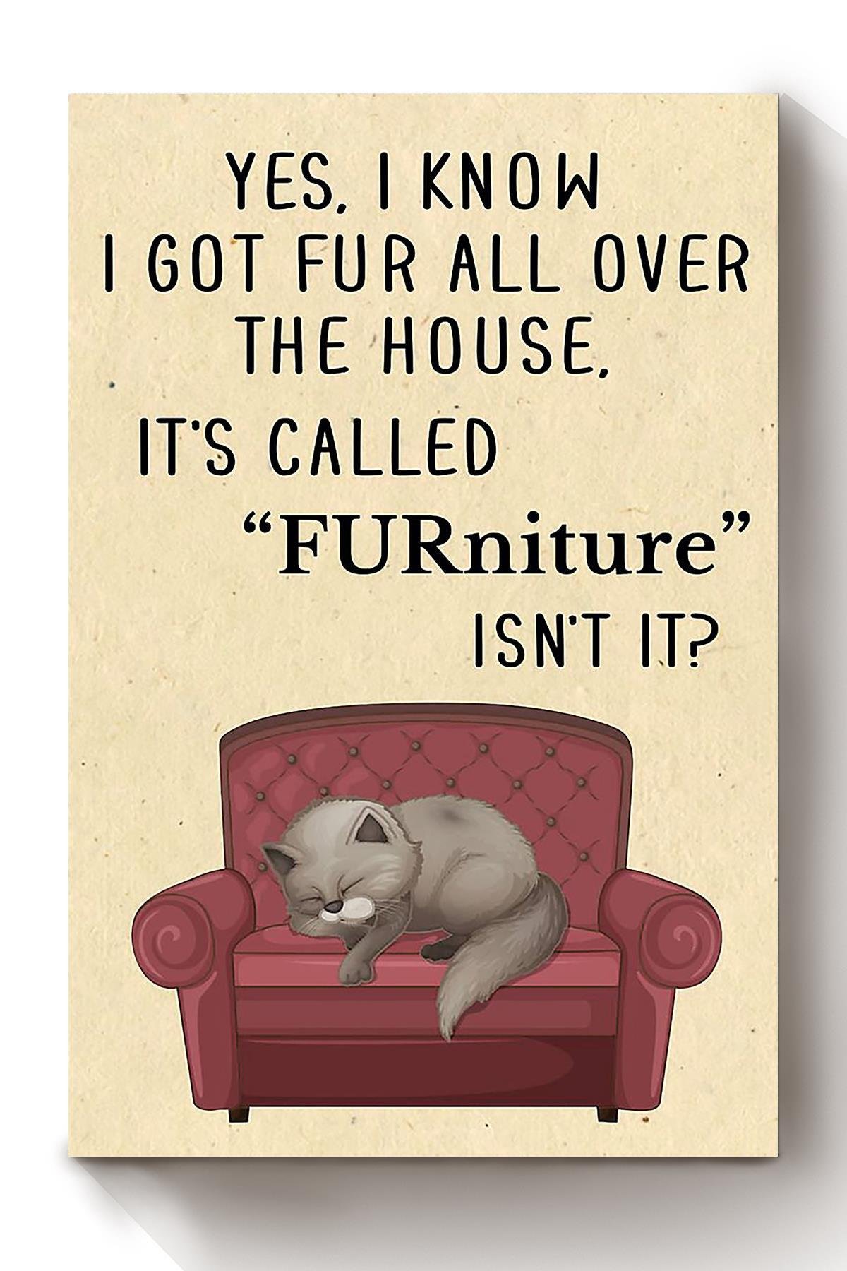 Cat Its Called Furniture Isnt It Animal Wall Art Gift For Cat Lover International Cat Day Kitten Foster Livingroom Decor Canvas