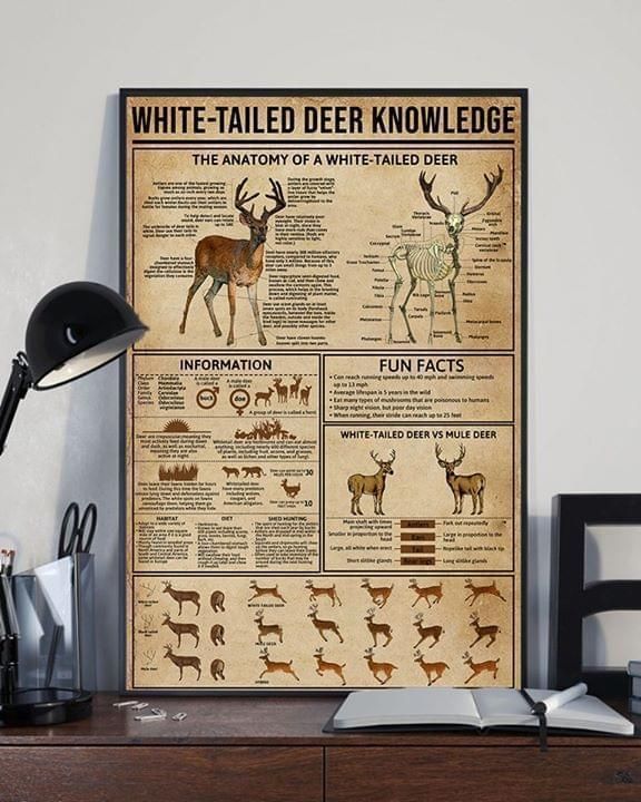 White Tailed Deer Knowledge Deer Hunting poster canvas poster canvas