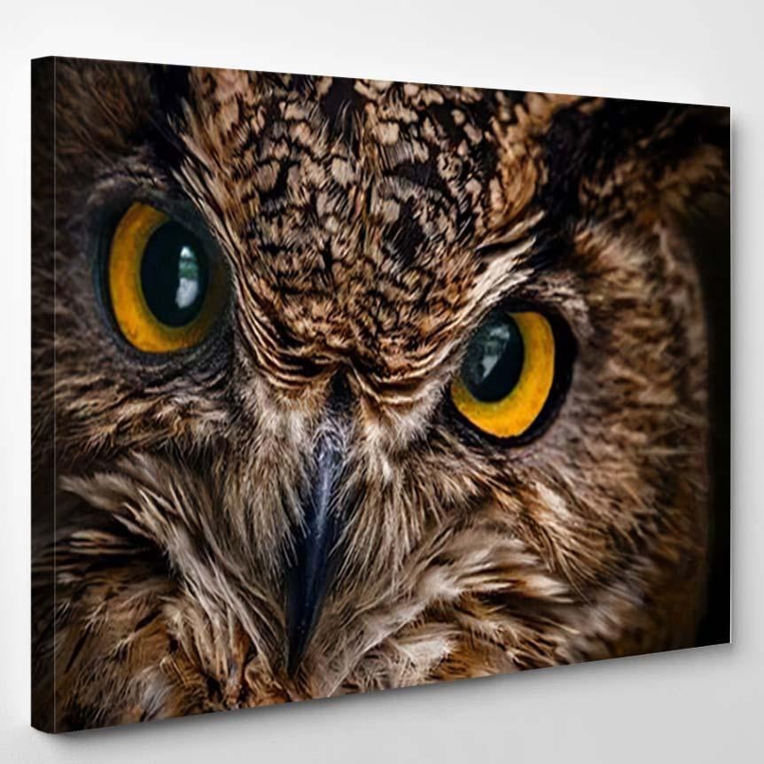 Yellow Eyes Horned Owl Close On 1 – Eagle Animals Canvas Print