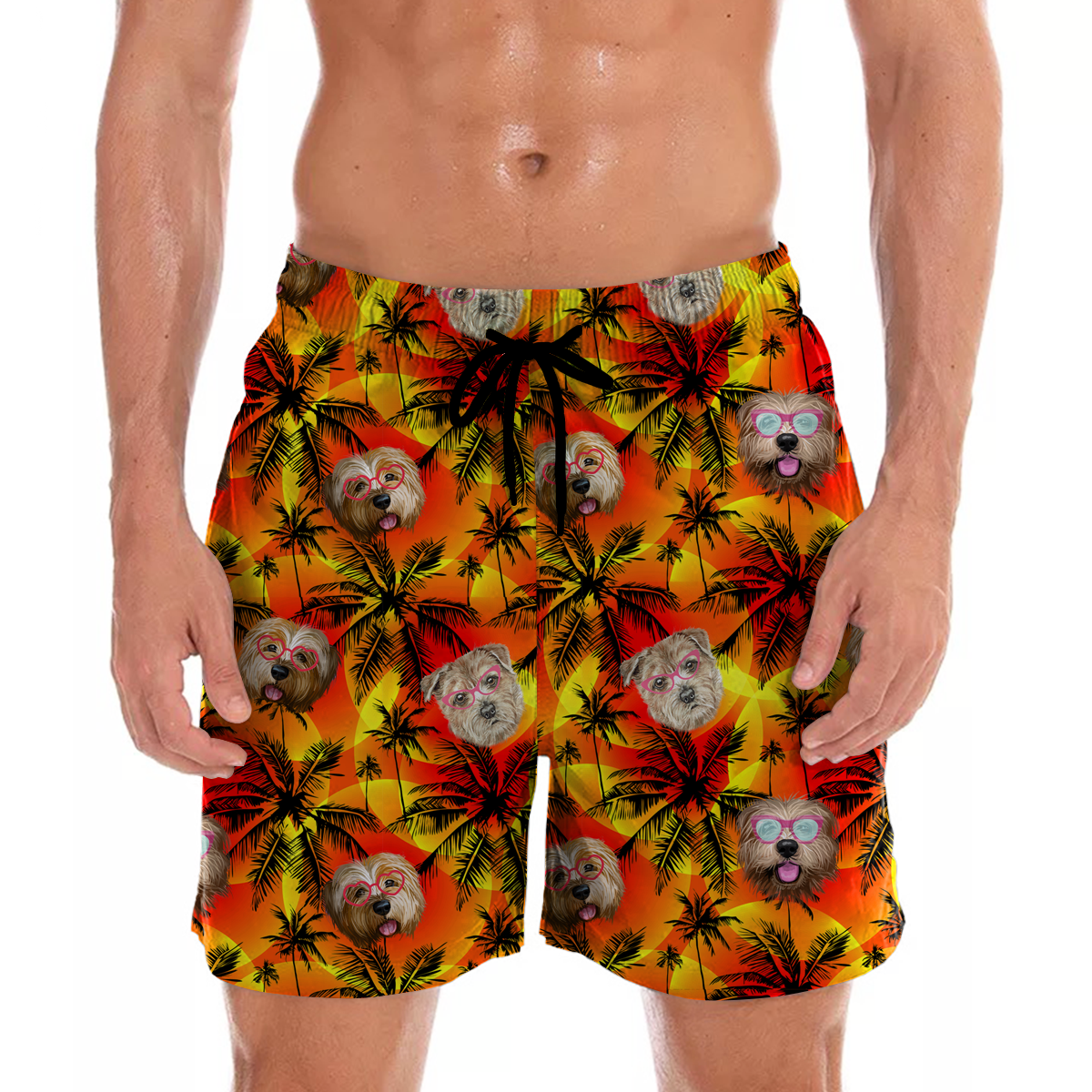 Norfolk Terrier Aloha Hawaii Shorts Ha53928