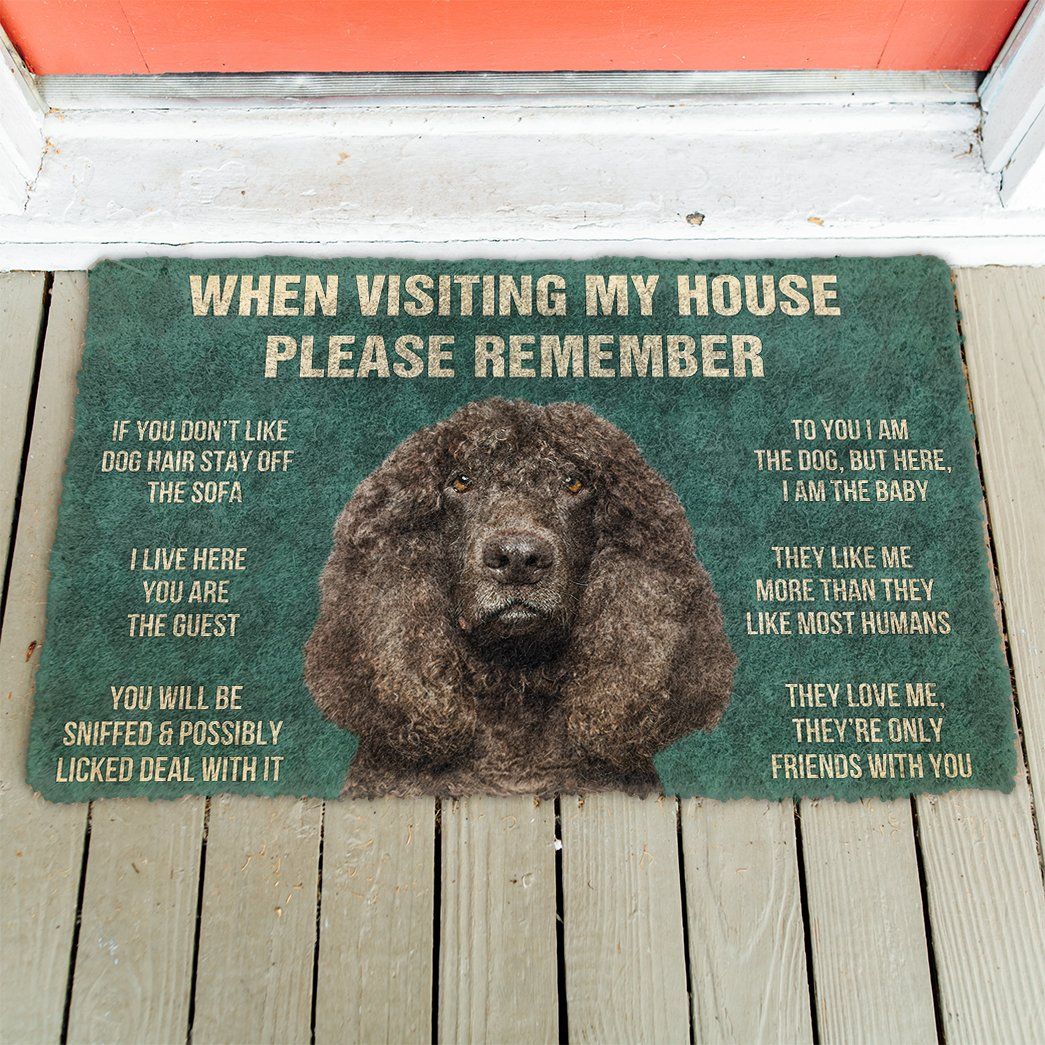 3D Please Remember Irish Water Spaniel Dogs House Rules Doormat