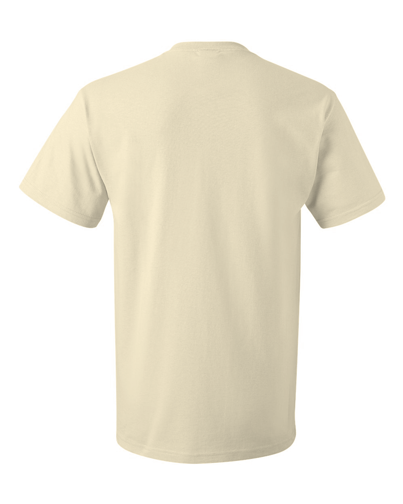 Living The Dream In North Crows Nest, In | Retro Unisex  T-Shirt