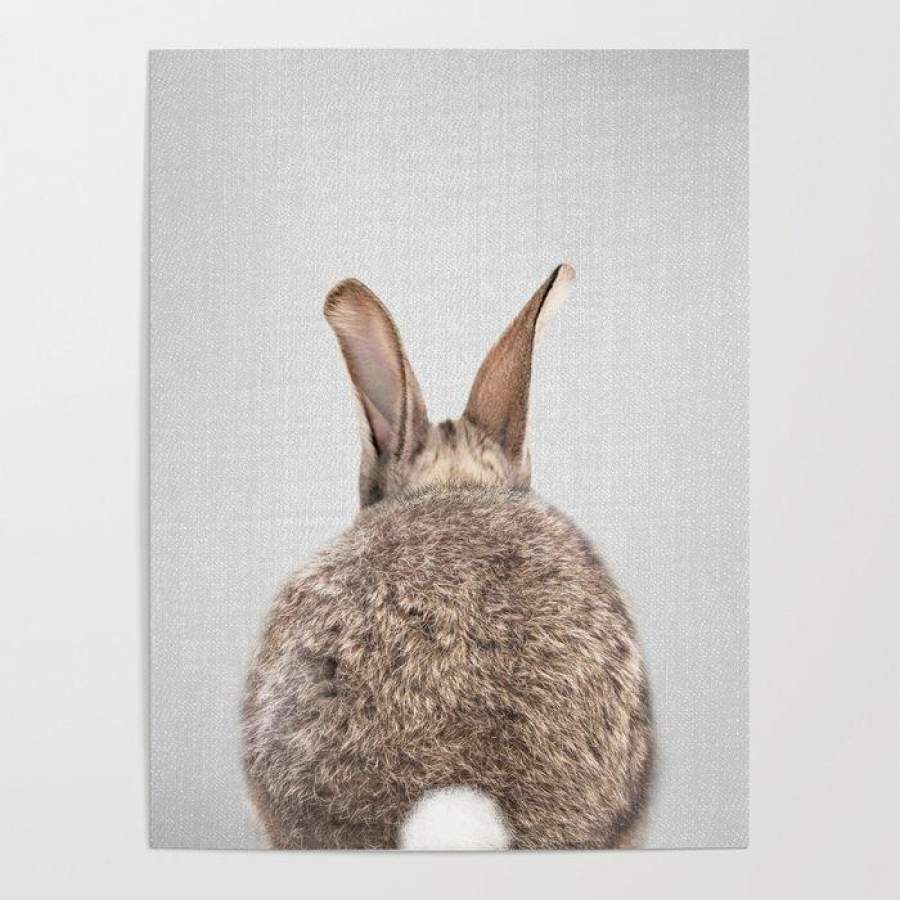 NMT1512 – Rabbit – Butt – Poster