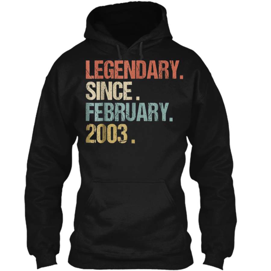 16th Birthday Gift Legendary Since February 2003  Retro Pullover Hoodie 8 oz