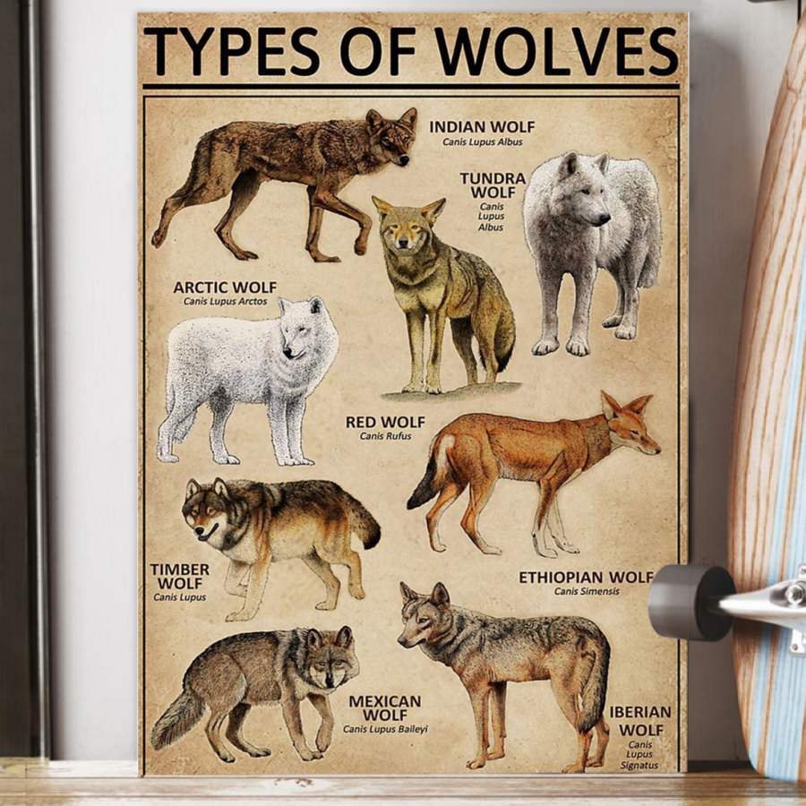 Types Of Wolves Special Unique Custom Design Canvas Gift For Animal Lovers