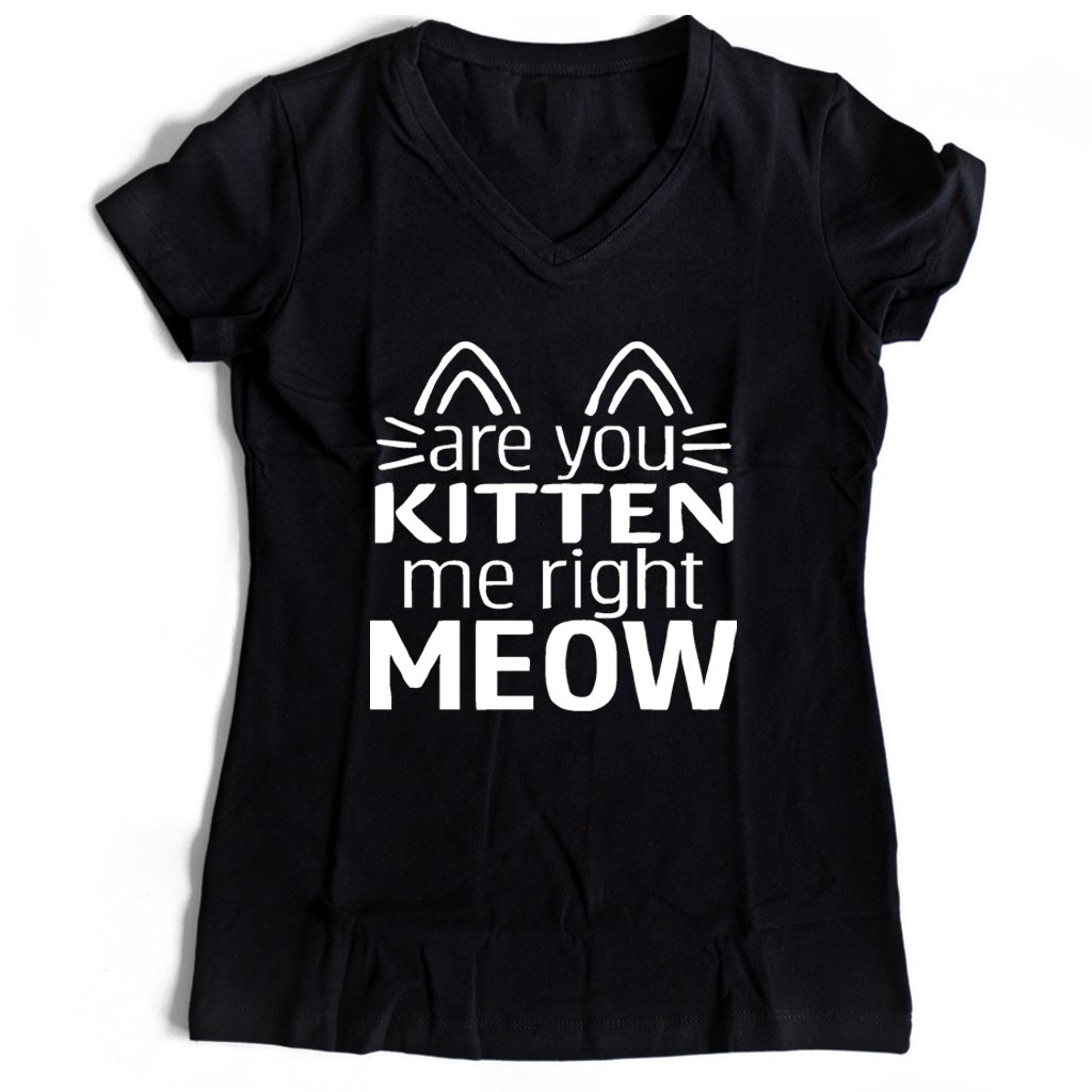 Are You Kitten Me Right Meow Mask Women’s V-Neck Tee T-Shirt