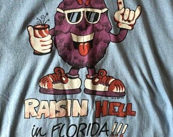 Vintage Raisin Hell In Florida Nightie Night Gown Long Tee  80s Pyjamas T-shirt 3393