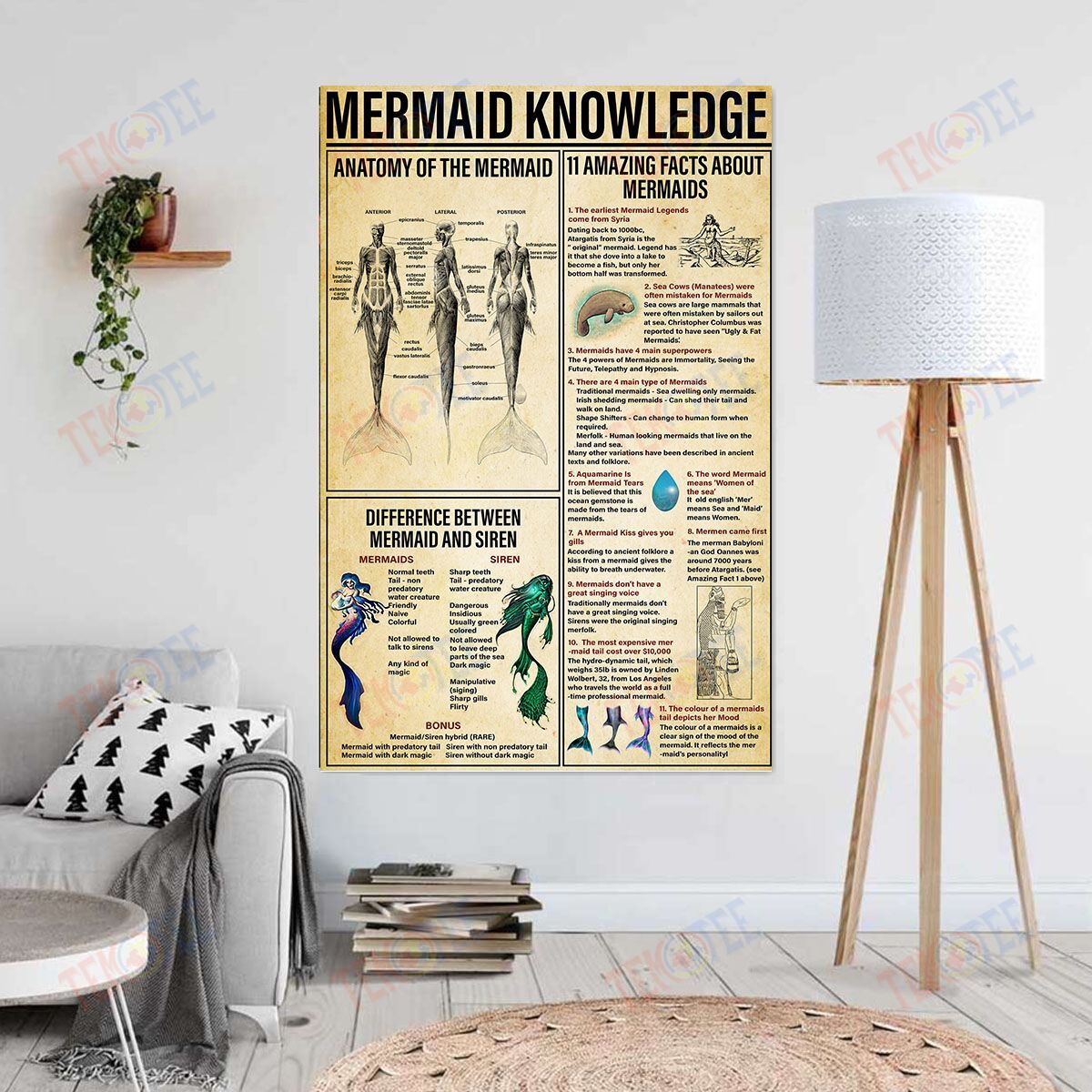 Canvas Artwork Mermaid Knowledge Wall Art For Living Room