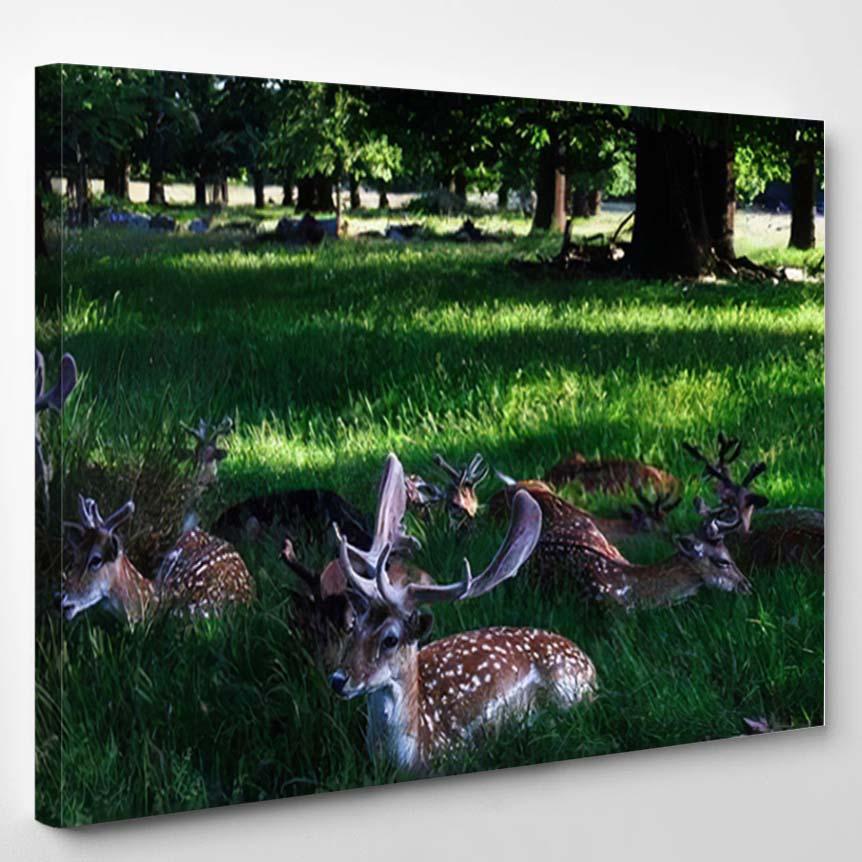 Wild Deers On Grass Forest Blur – Deer Animals Canvas Print