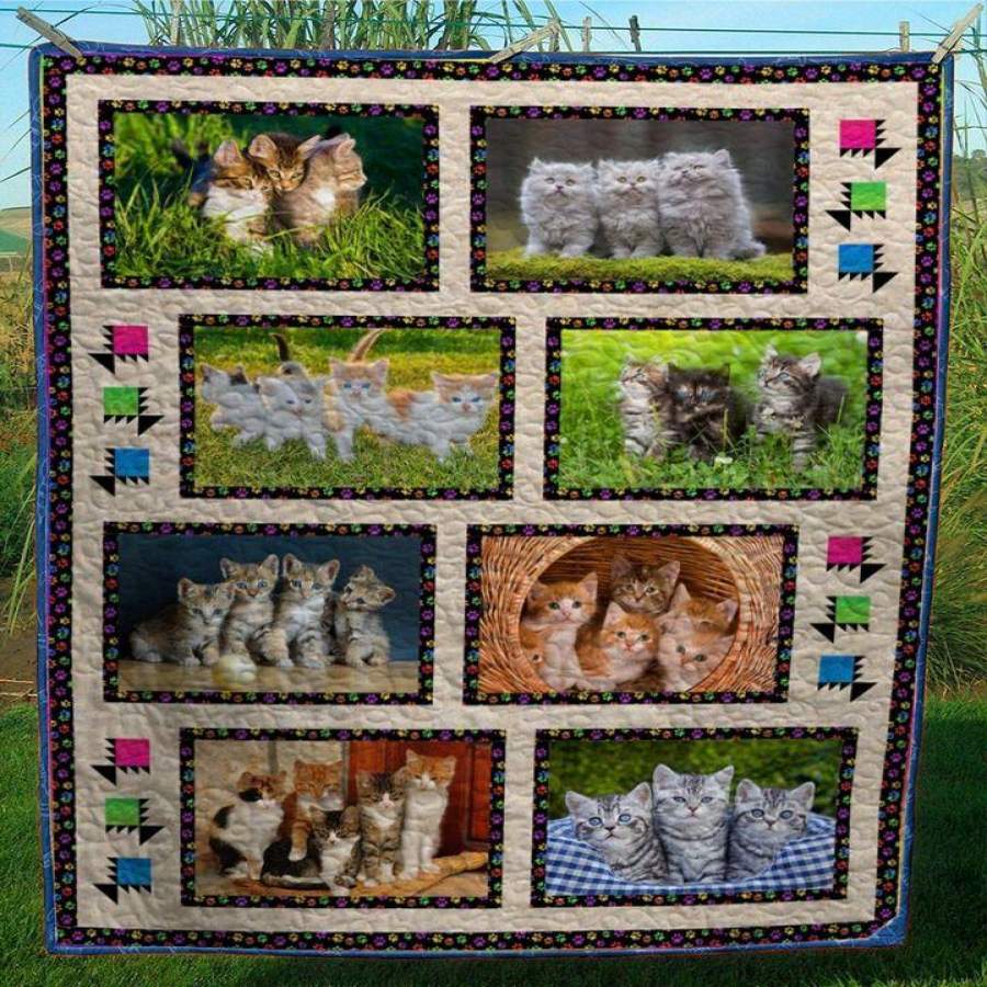 MP0611 – Cat – Play with lovely kittens –  Quilt