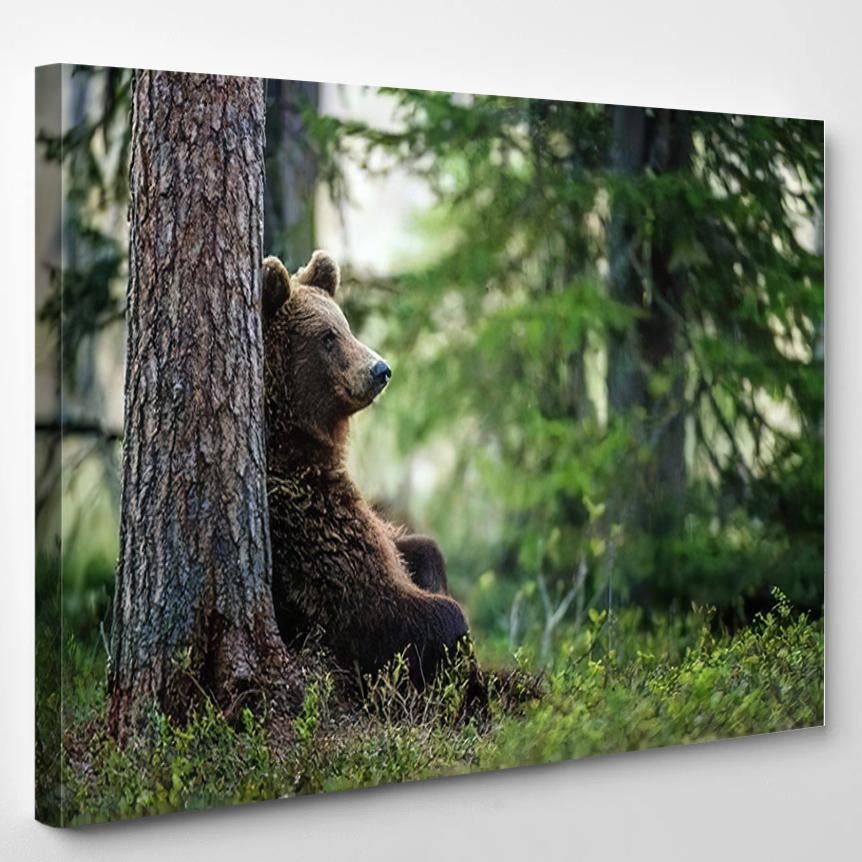 Wild Adult Brown Bear Ursus Arctos 2 – Bear Animals Canvas Print