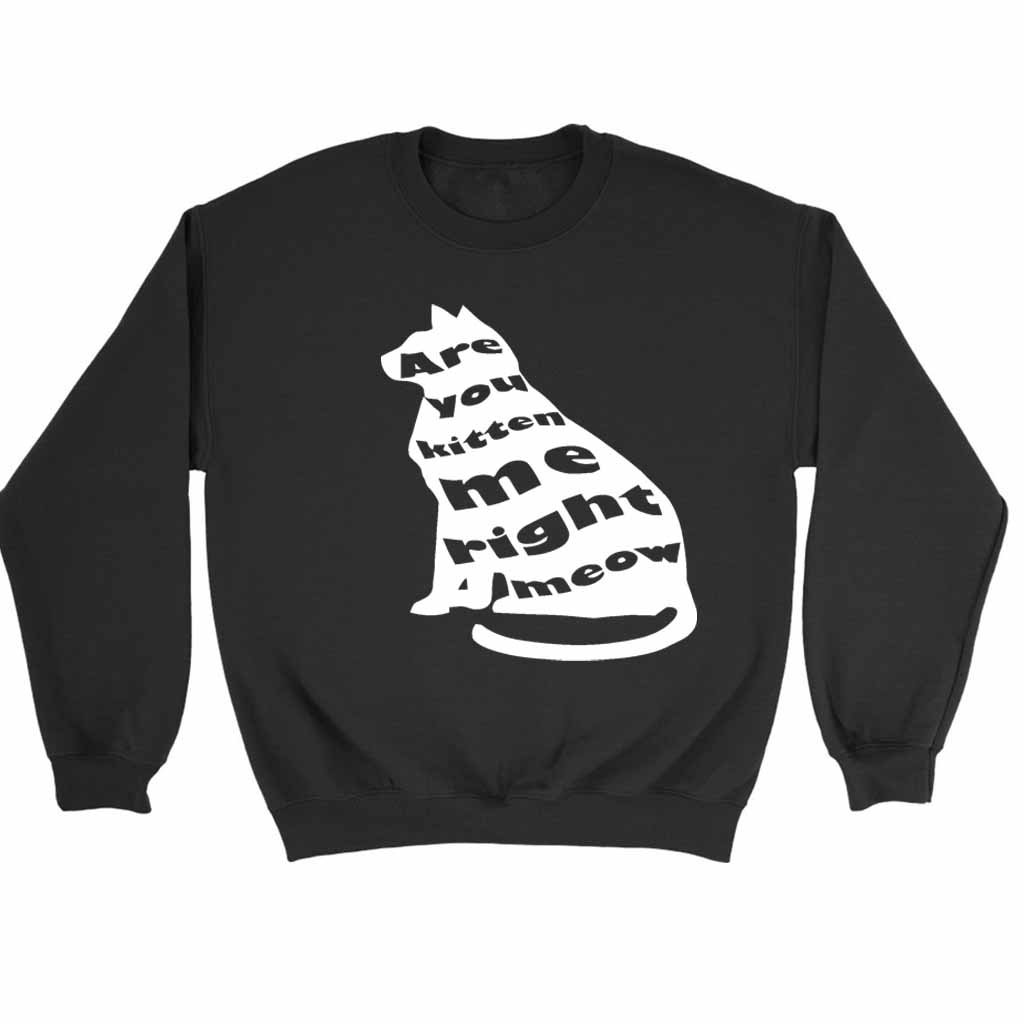 Are You Kitten Me Right Meow Bird Sweatshirt Sweater