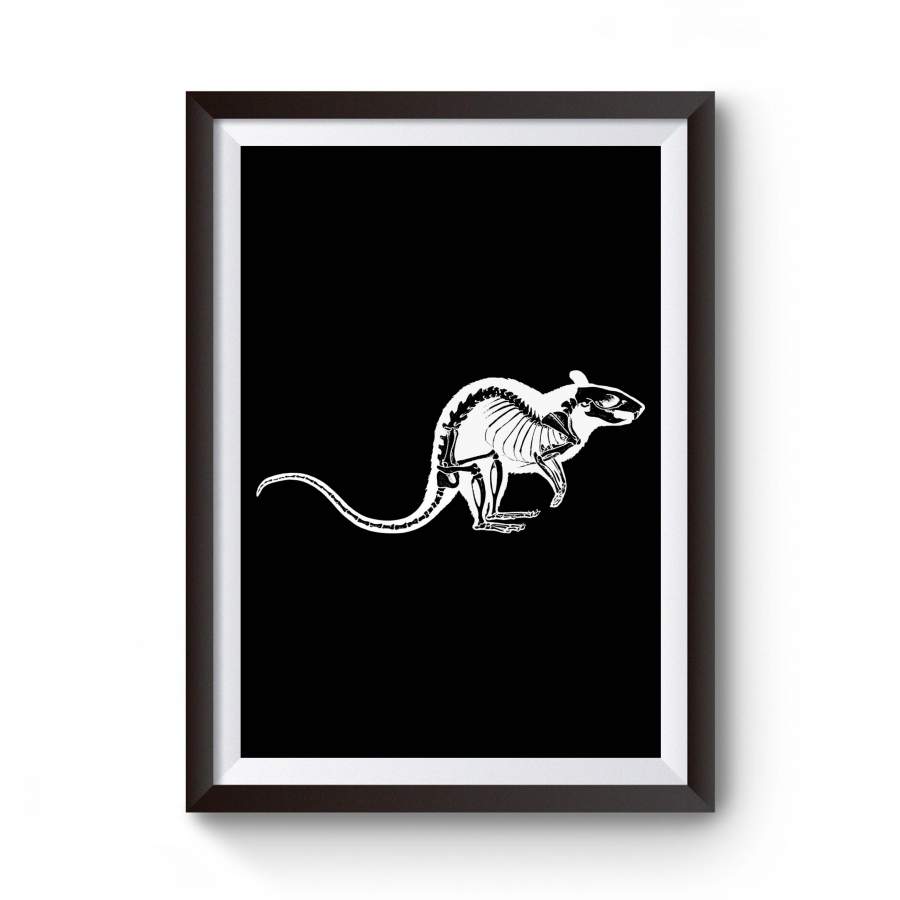 Rat Skeleton Animal Art Illustration Skull Artwork Punk Urban Gothic Poster