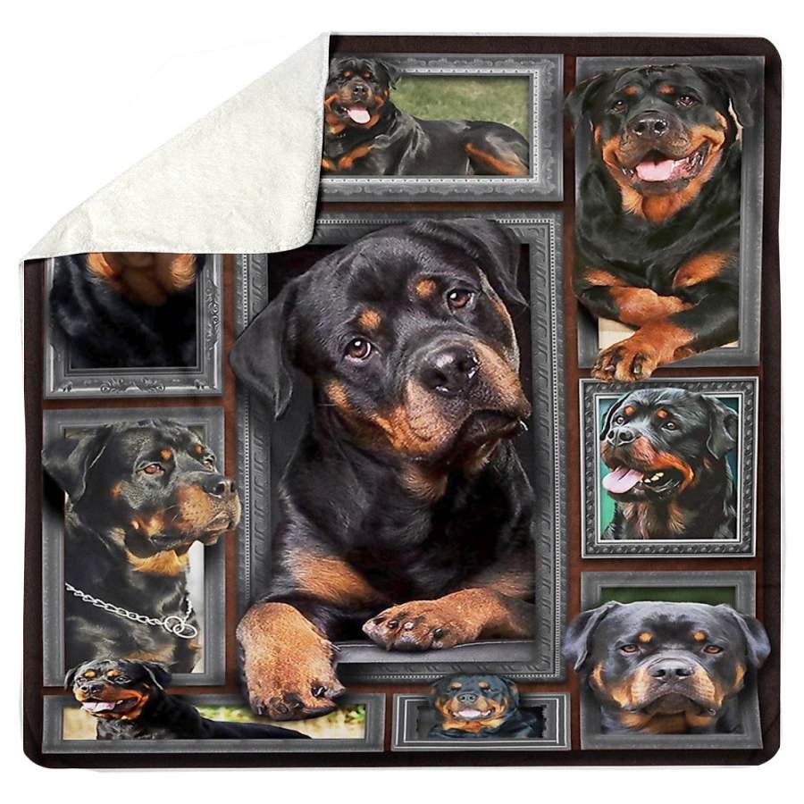 Huge Rottweiler Lover Gift Sherpa Blanket