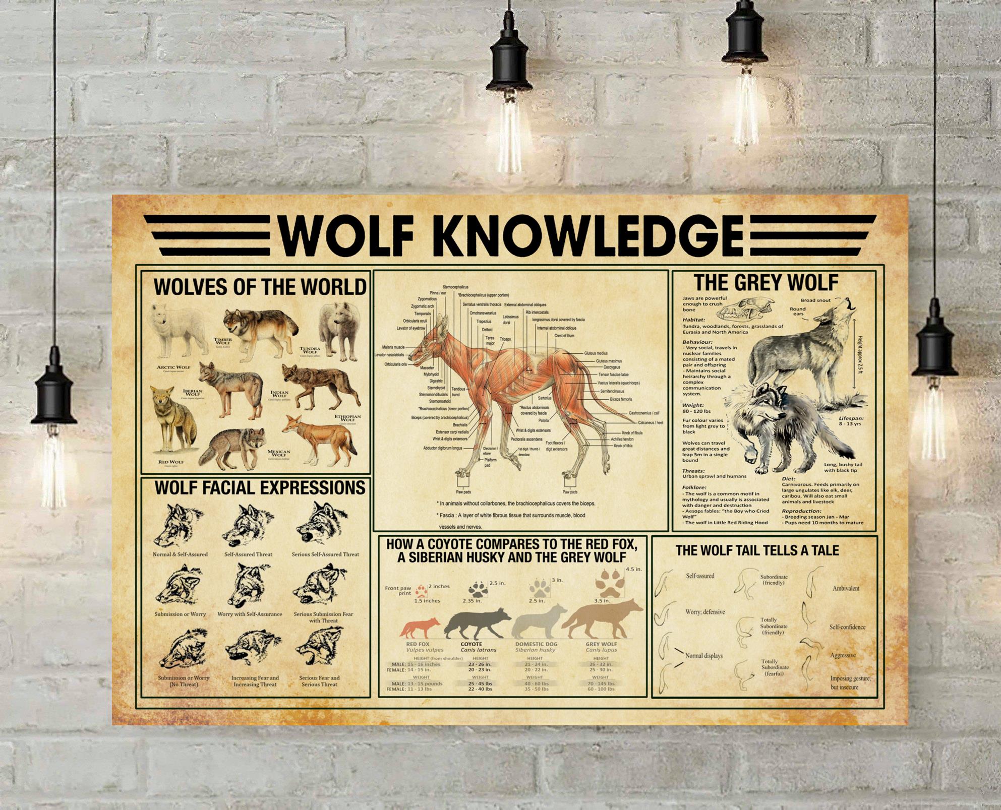 Wolf Knowledge Horizontal Print Poster