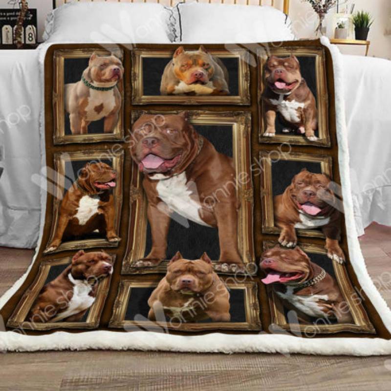 Pitbull Dog Sherpa Blanket DCB1401 81O60