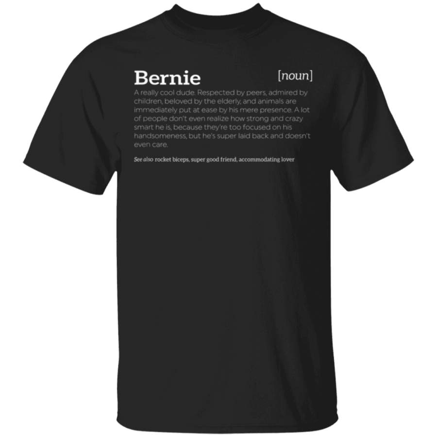 Bernie is a Cool Dude  Funny Compliment Tshirt