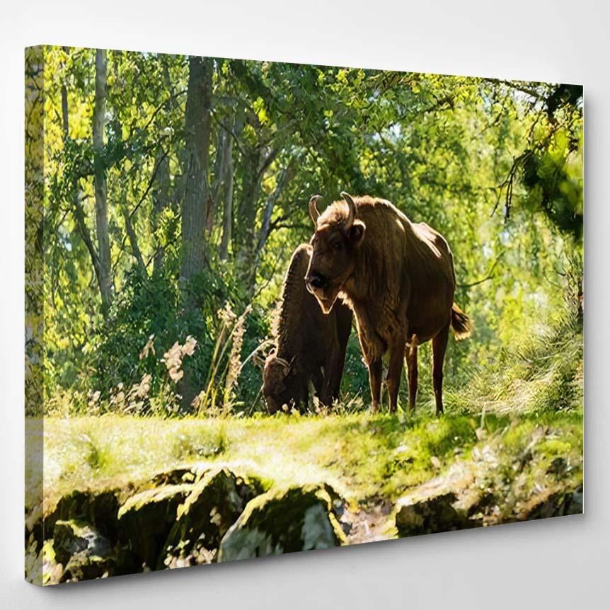 Two Adult European Bisons Woodland Animals – Bison Animals Canvas Print