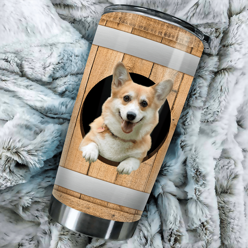 Stainless Steel Tumbler – Pembroke Welsh Corgi HT230204