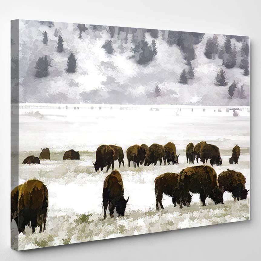 Abstract American Bison Binomial Name Grazing – Bison Animals Canvas Print