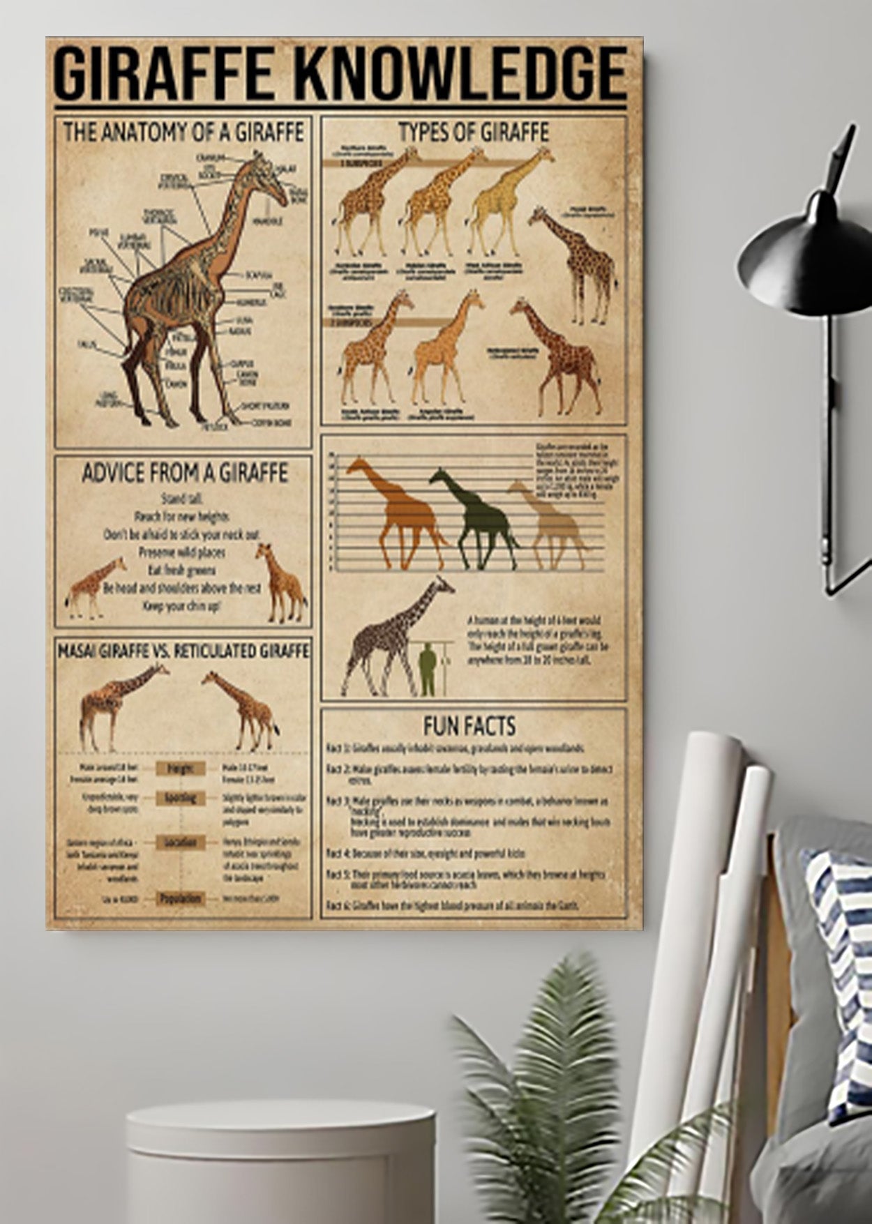 Wild Animal Giraffe Knowledge Poster