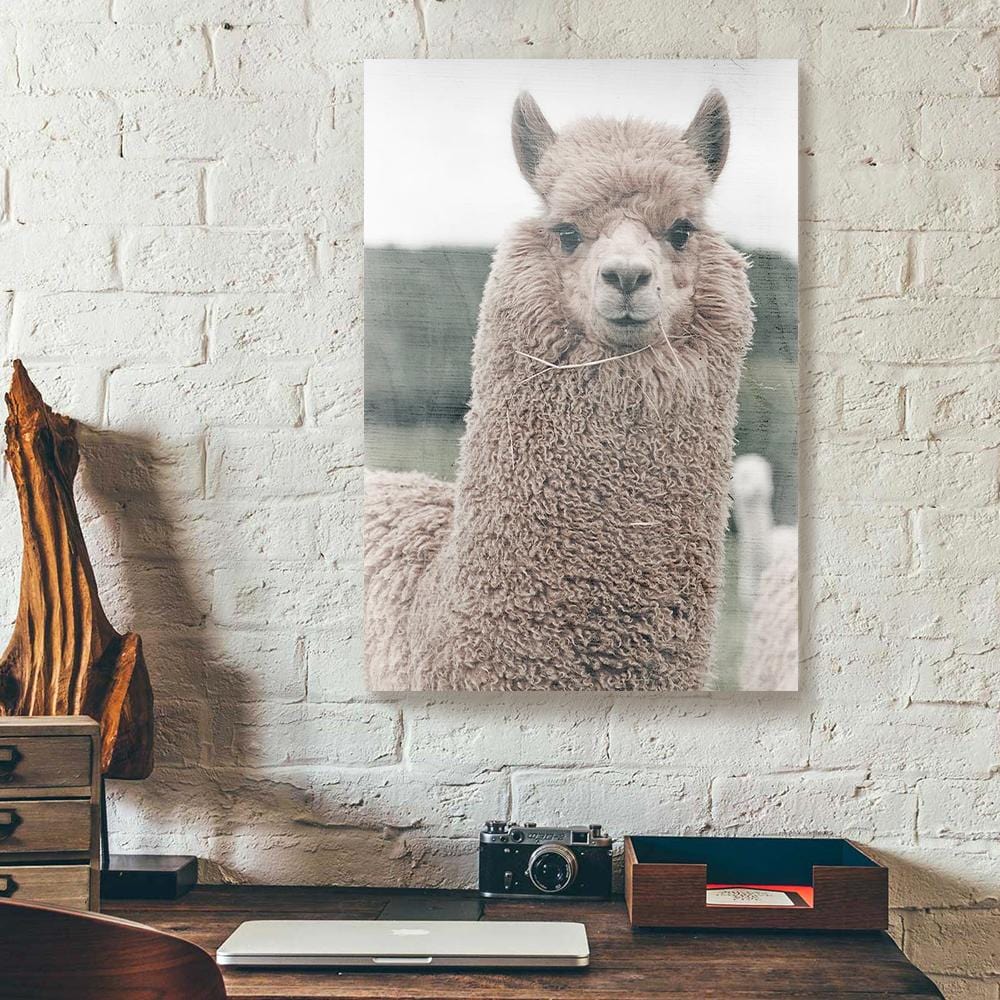 Canvas Artwork Lama Face Full Printing Animal Wall Art Canvas Home Decor Canvas