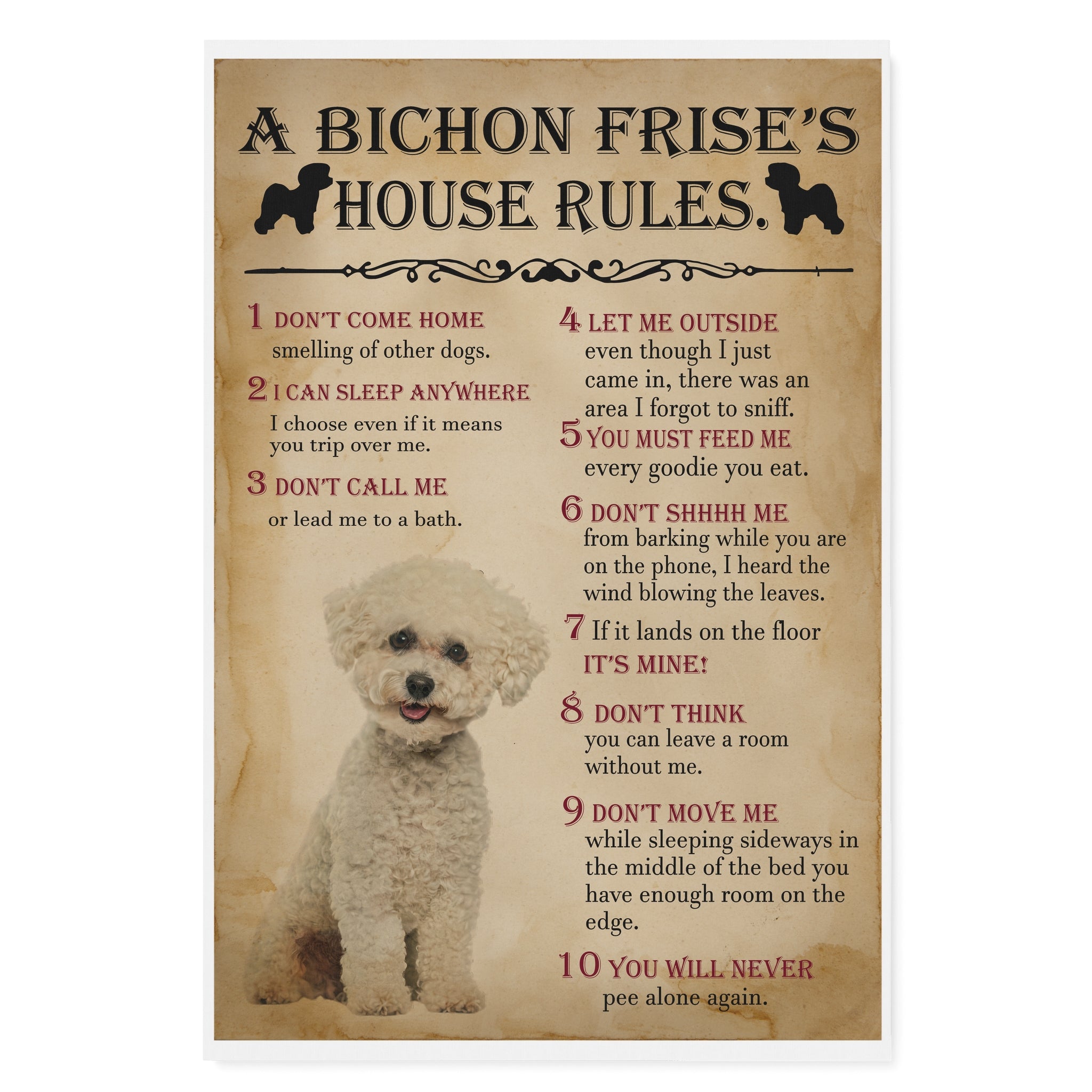 A Bichon Frises House Rules Print Canvas Framed Wall Art Poster Anniversary Birthday Christmas Housewarming Gift Home Decor – Matte Canvas