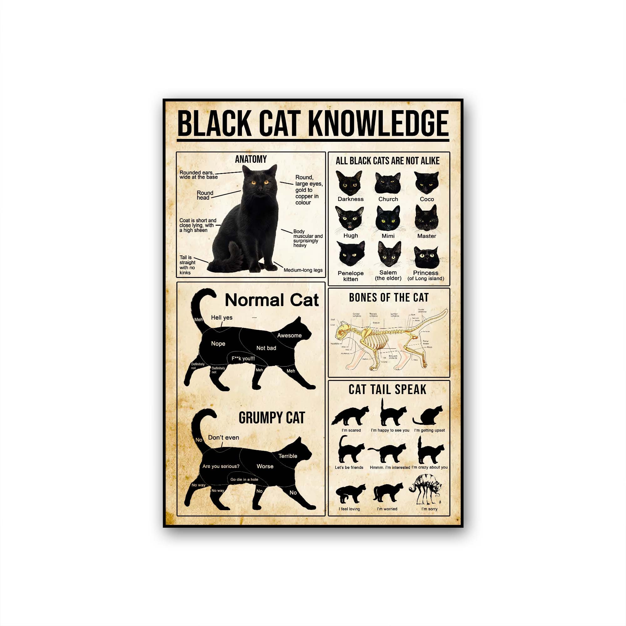 Black Cat Knowledge Canvas Poster  Black Cat Knowledge Poster  Black Cat Poster  Black Cat Behavior Poster  Black Cat Lovers Gift tho158