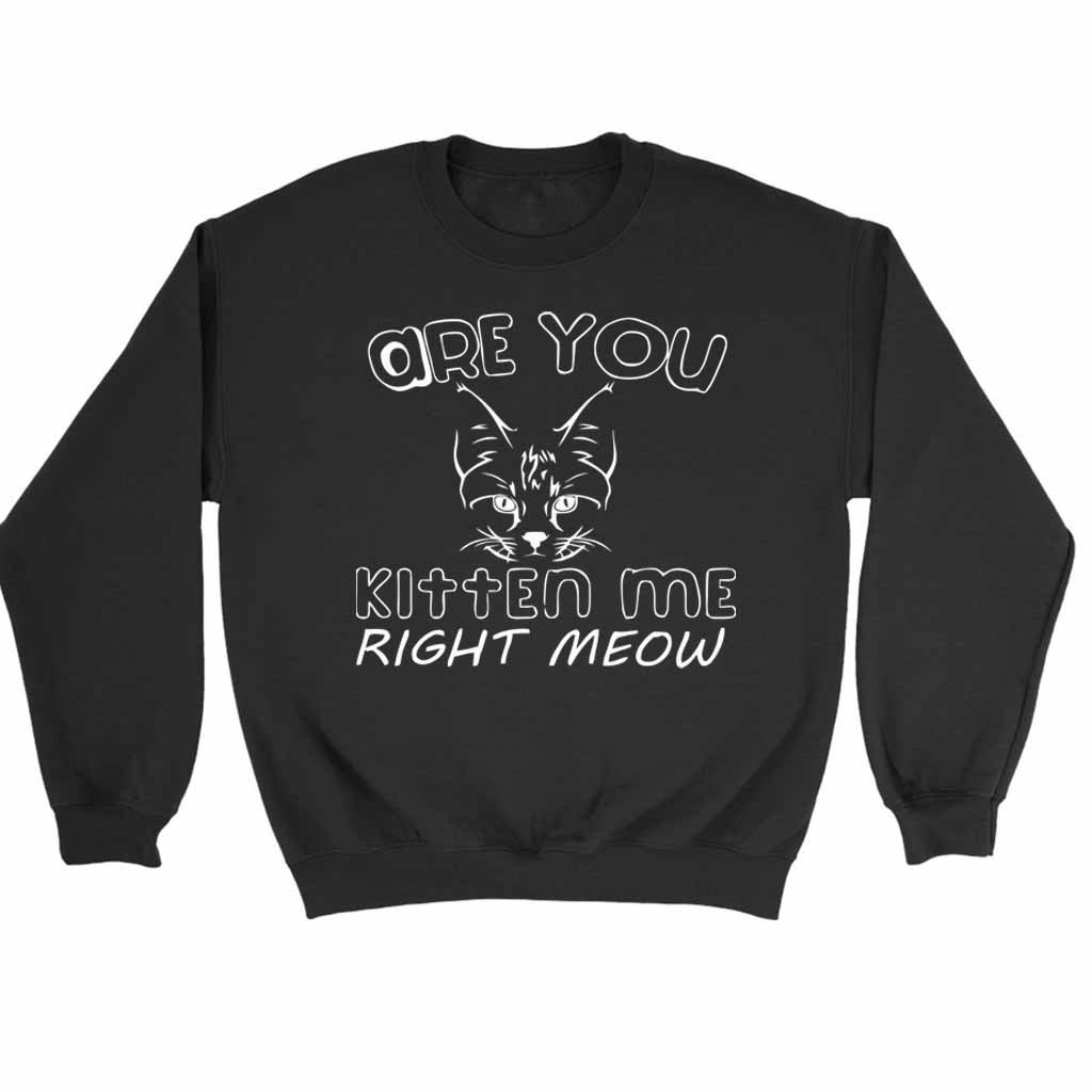 Are You Kitten Me Right Meow Maind Sweatshirt Sweater