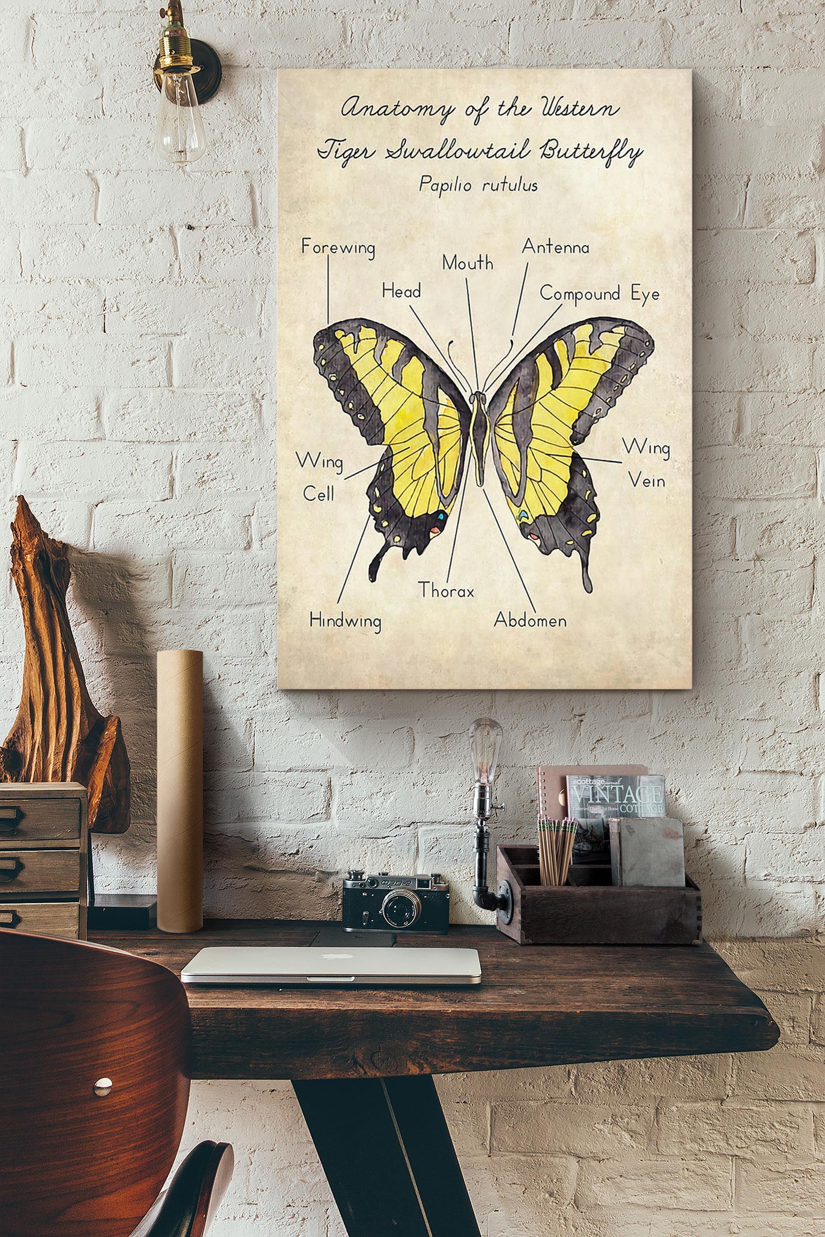 Anatomy Of The Western Tiger Swallowtail Butterfly Poster