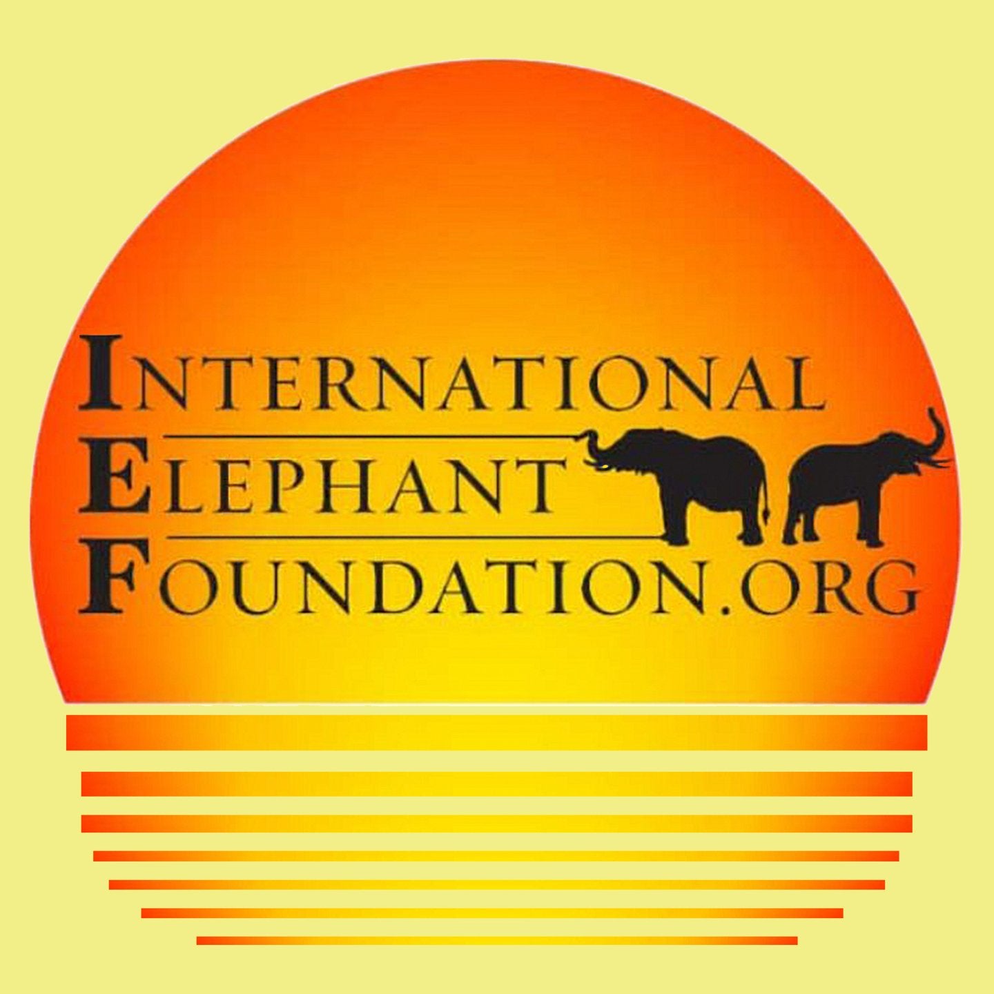 International Elephant Foundation Sunset Logo – Women’s Fitted T-Shirt