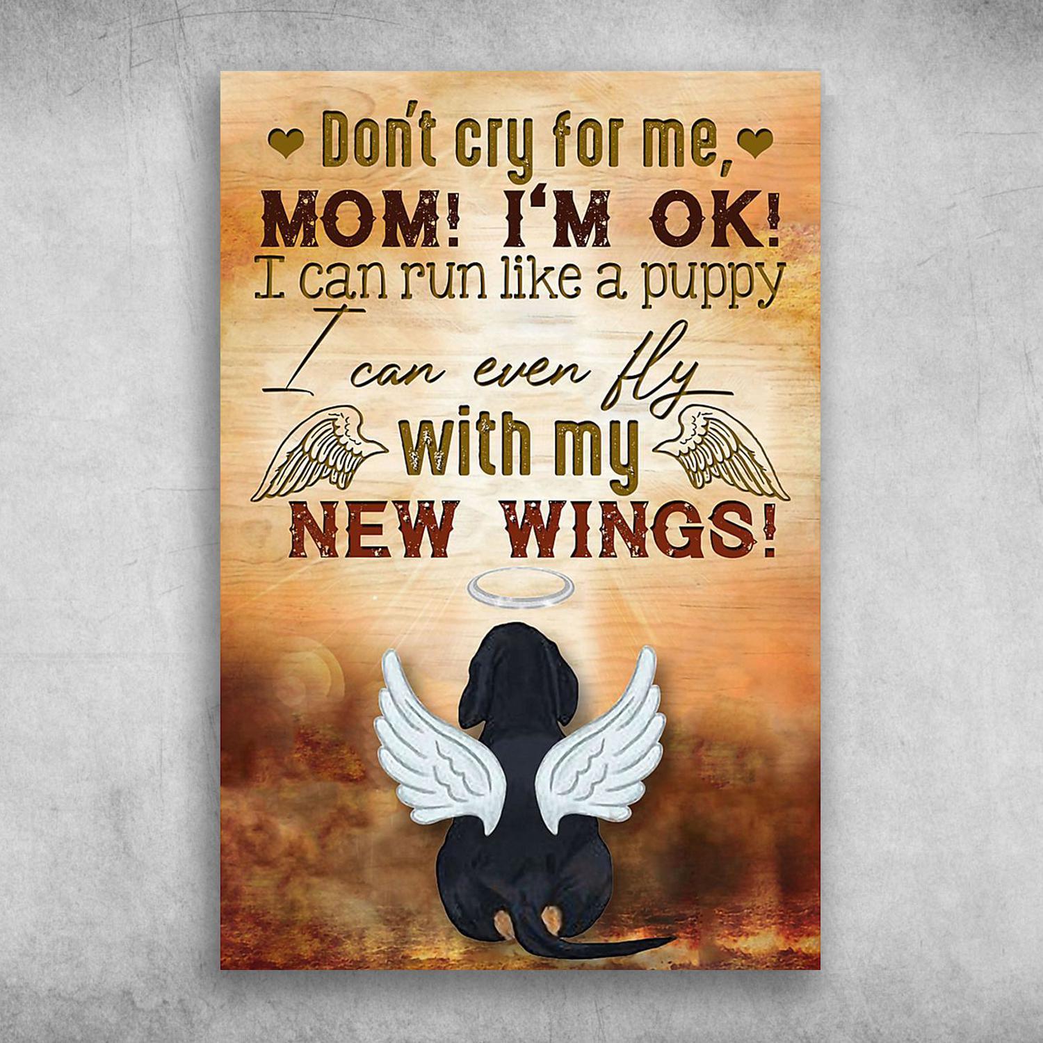 Angel Dog I Can Run Like A Puppy I Can Even Fly With My New Wings Pet Memorial Poster Print Wall Art Canvas Wall Decor