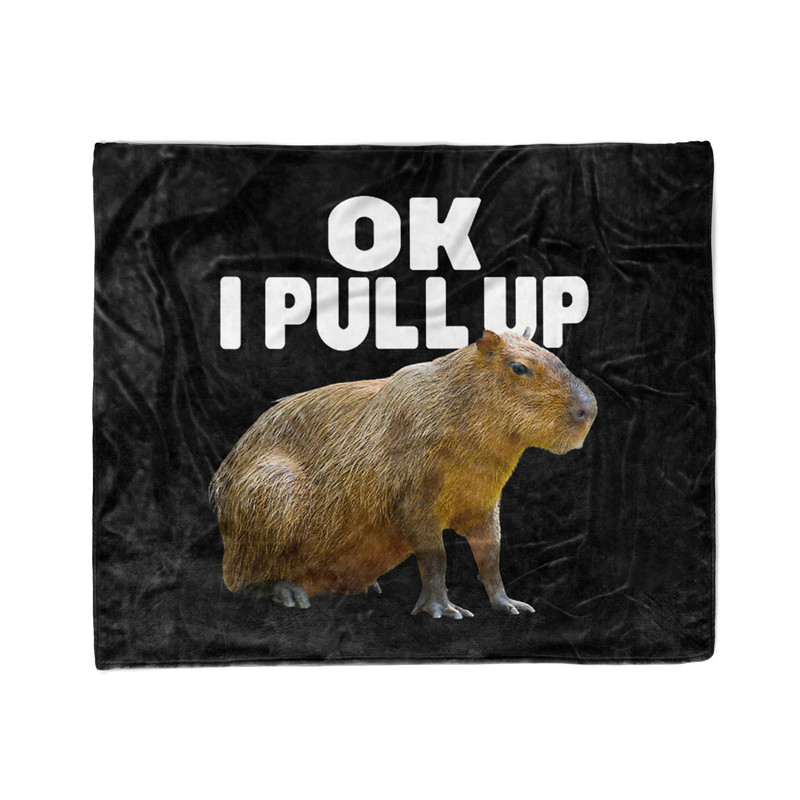 Aertemisi Ok I Pull Up Capybara Funny Meme Pet Blanket for Small Medium Large Dog Cat Puppy Kitten Couch Sofa Bed alx