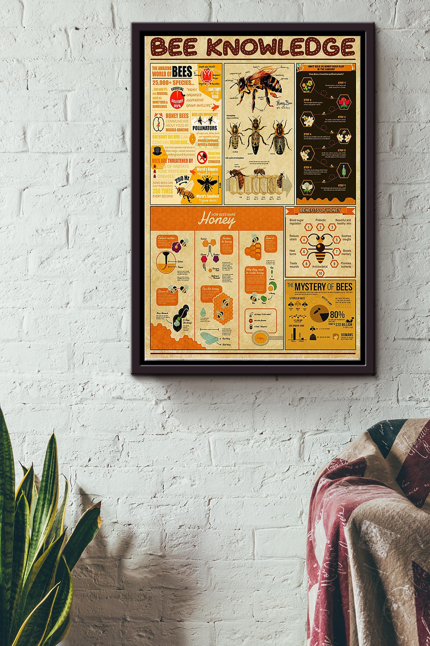 Bee Knowledge Inforgraphic Poster Framed Matte Canvas