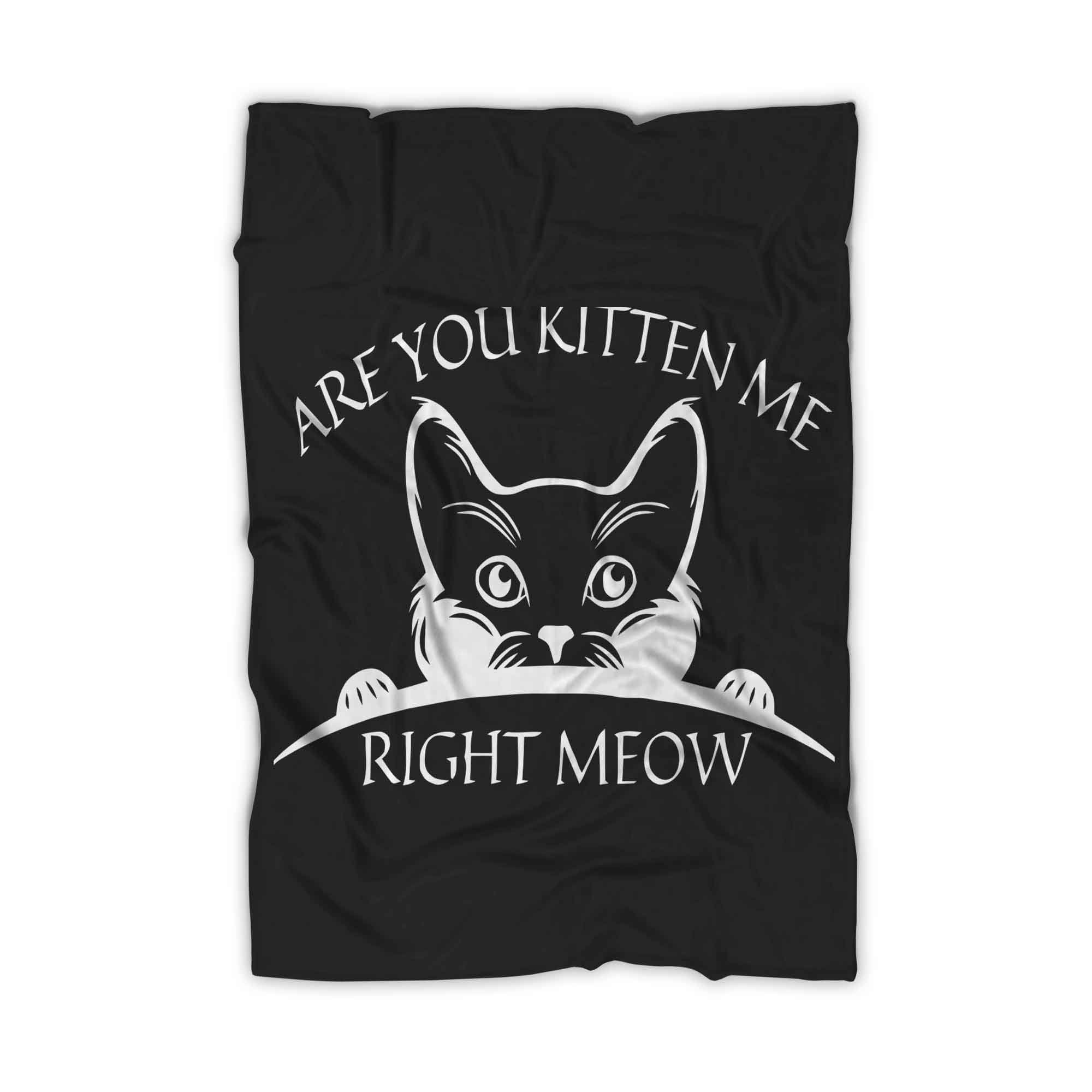 Are You Kitten Me Right Meow Cool Blanket