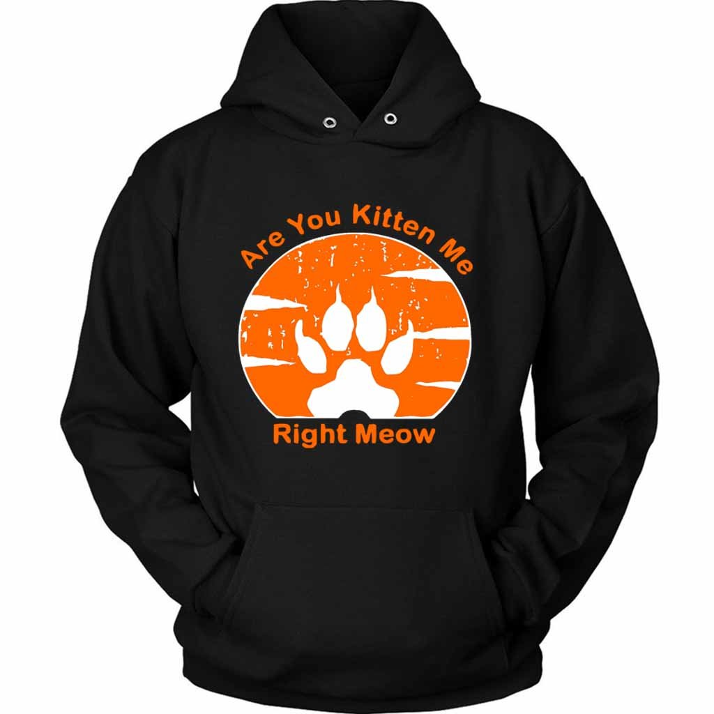 Are You Kitten Me Right Meow Vintage Unisex Hoodie