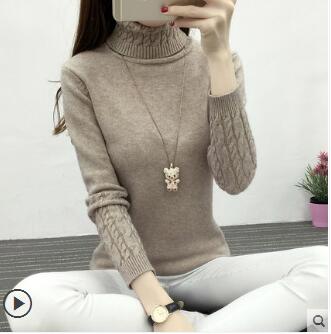 Women’s Sweaters And Pullovers Female Solid Wool Pullover Knitted Autumn Winter Casual Over sized Pull Female Turtleneck Sweater alx