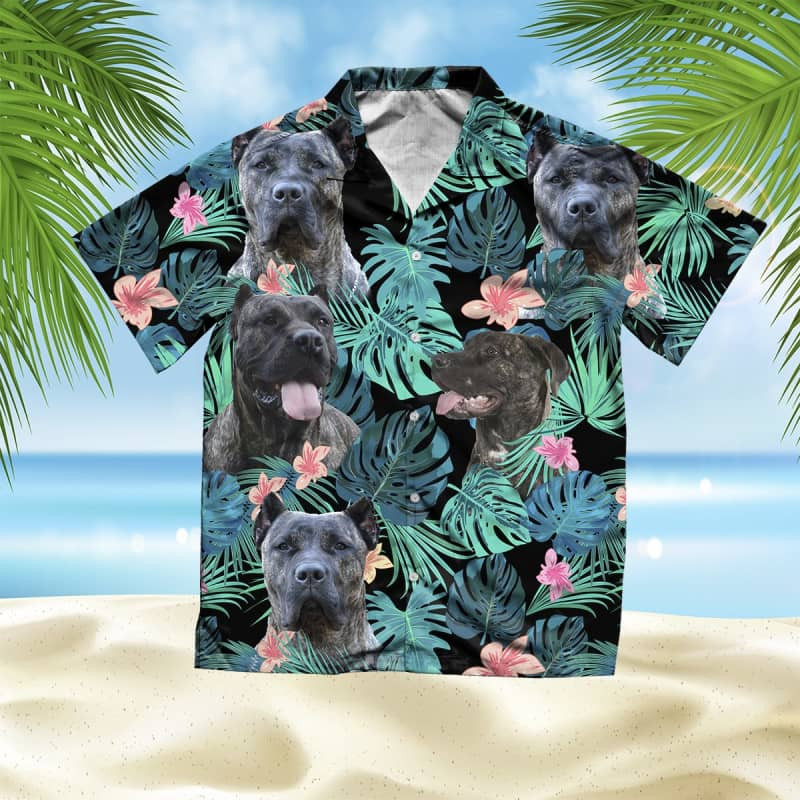 Felacia Perro De Presa Canario Summer Leaves Hawaii Shirt Ha16037