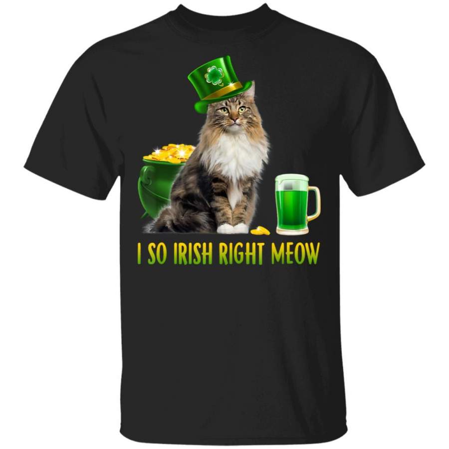 St Paddys Day I'm So Irish Right Meow St Patricks Day T Shirt Saint Paddys Patricks Tshirt Lucky Shirts Drink Green Beer Irish Gifts Funny Tee