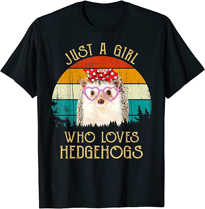 Vintage Style Retro Sunset Just A Girl Who Loves Hedgehogs T-Shirt