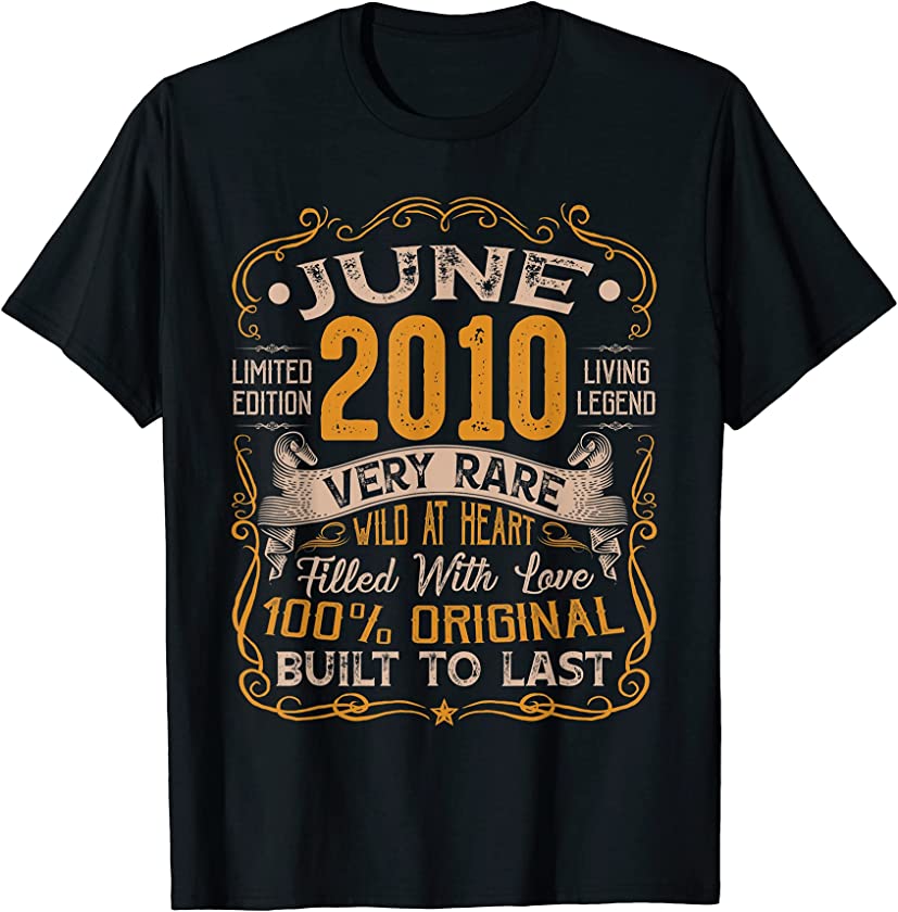 11th Birthday Vintage June 2010 Distressed 11 Years Old T-Shirt