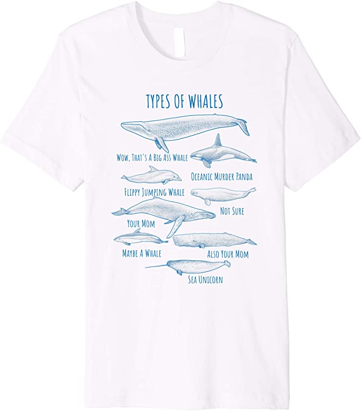 Types Of Whales Name Chart Funny Whale T Shirt