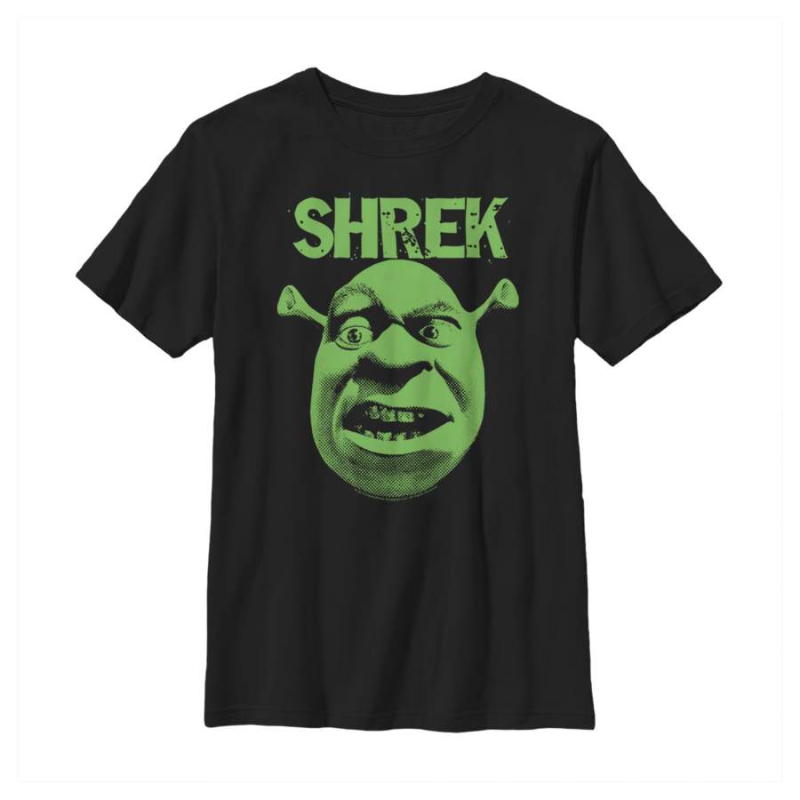 Shrek Boy’s Big Face Eyebrow Raised  T Shirt