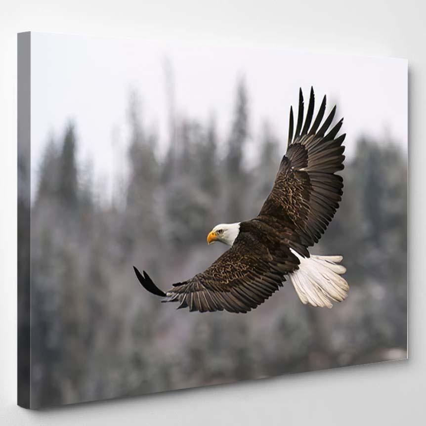 American Bald Eagle Flight Against Snowy – Eagle Animals Canvas Print